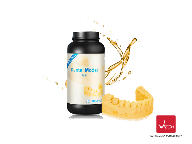 MỰC IN DENTAL (DM12)